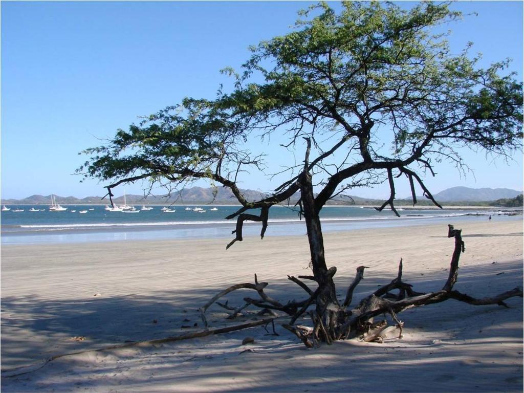 Jet Luxury At Langosta Beach Resort & Villas Tamarindo Dış mekan fotoğraf